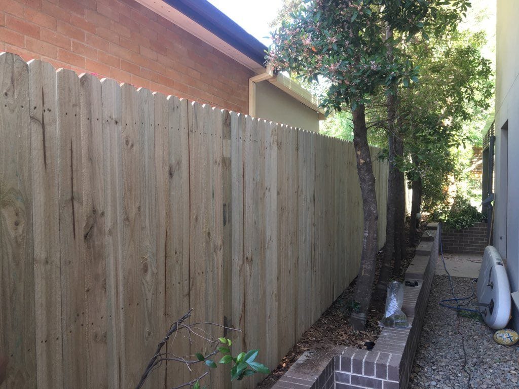 Single paling timber fence with shaped paling tops running beside a gravel path at a Sydney property