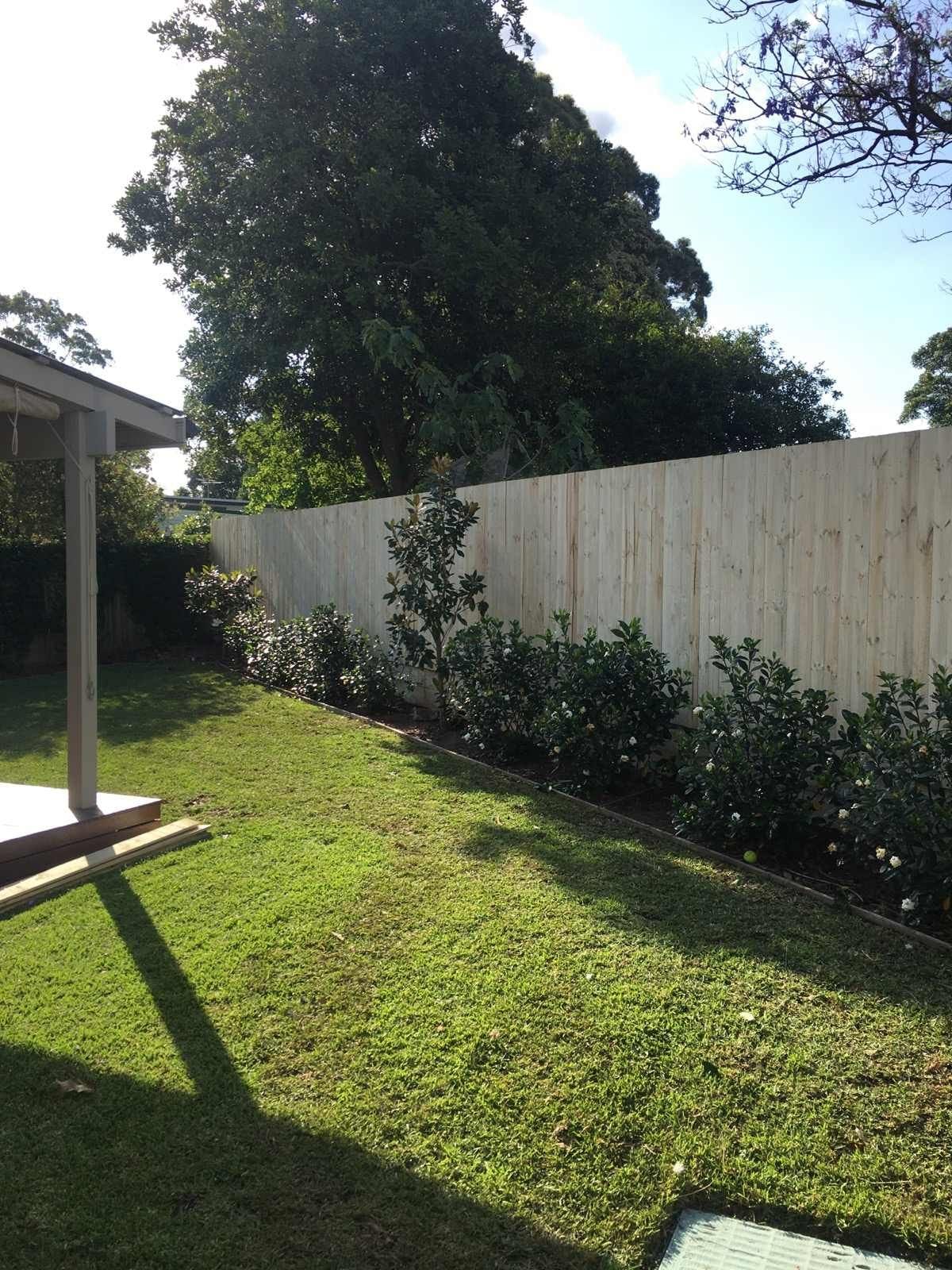 Single paling timber fence built along a rear garden boundary beneath established trees in Sydney