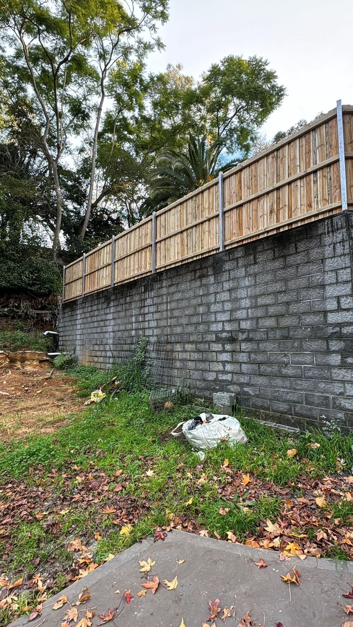 Treated pine timber fence built on top of an existing besser block retaining wall at a Sydney property