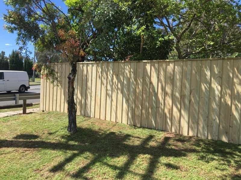 Treated pine timber fence behind a planted garden bed at a Sydney home