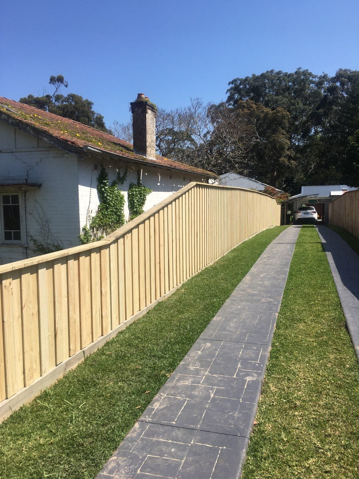 Treated pine timber fence installed along a narrow paved side access path between two Sydney homes