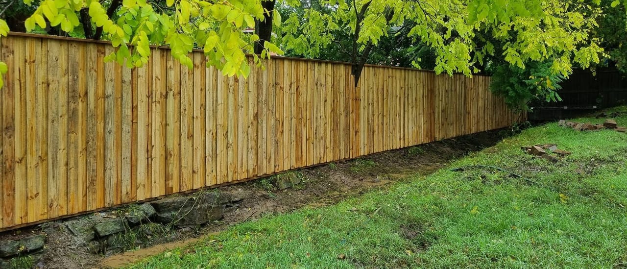 Treated pine timber fence along a rear garden boundary with an autumn tree overhanging from the neighbouring property