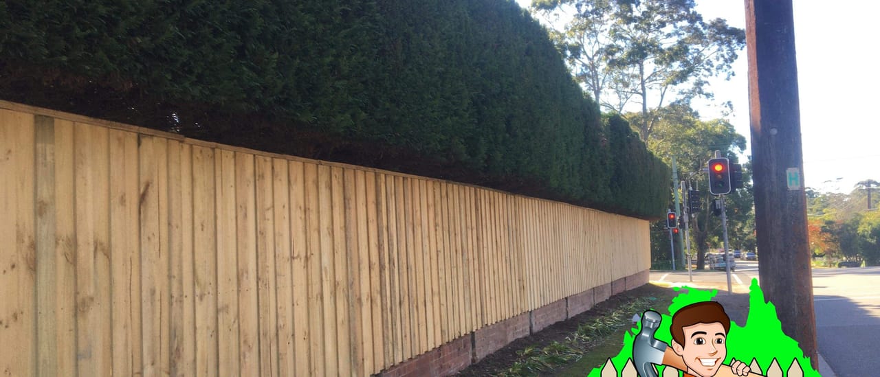 Long run of treated pine timber fencing installed beside an established hedge at a Sydney property